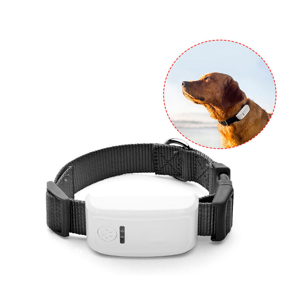 WINNES TK909 GPS Tracker for Pets Real time Tracking Dog GPS Adjustable Collar Unlimited Range with Geo fence History Route