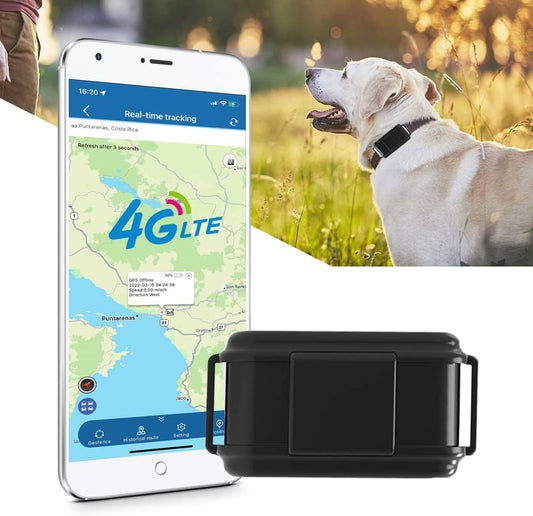 WINNES 4G GPS Tracker for Hunting Dogs| Activity & Sleep Monitoring