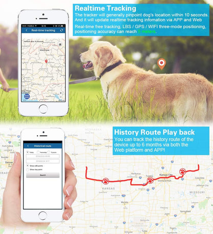 WINNES 4G GPS Tracker for Hunting Dogs| Activity & Sleep Monitoring